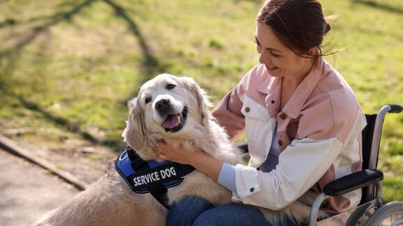 Da hipoterapia aos cães: como a intervenção assistida por animais está a crescer em Portugal