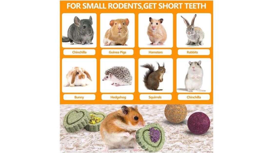 Roedores precisam de brinquedos para mastigar, para desgastar os dentes