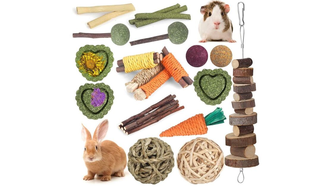 Roedores precisam de brinquedos para mastigar para desgastar os dentes e evitar problemas