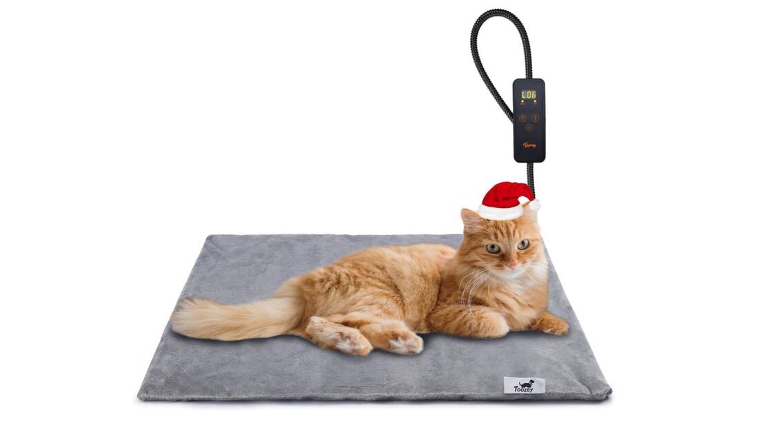 Gato com gorro de Natal repousa numa cama aquecida da Toozey