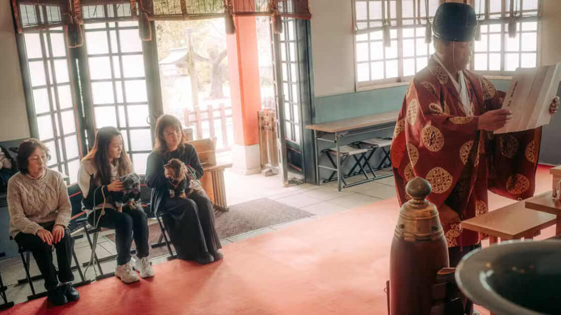 Festival japonês adapta tradição para cães com quimono e bênção em templos.
