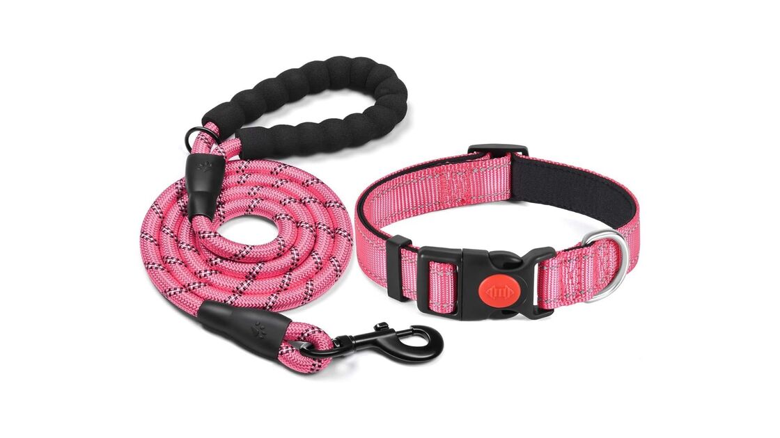 Coleira rosa e trela para cães, ideal para passeios seguros e confortáveis