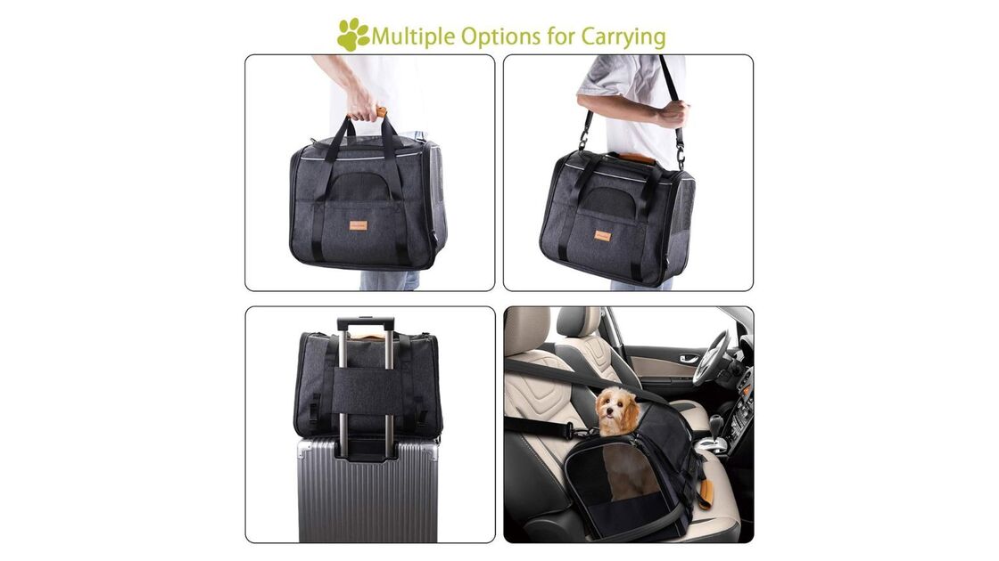 Transporte o seu animal de estimação com várias opções de transporte