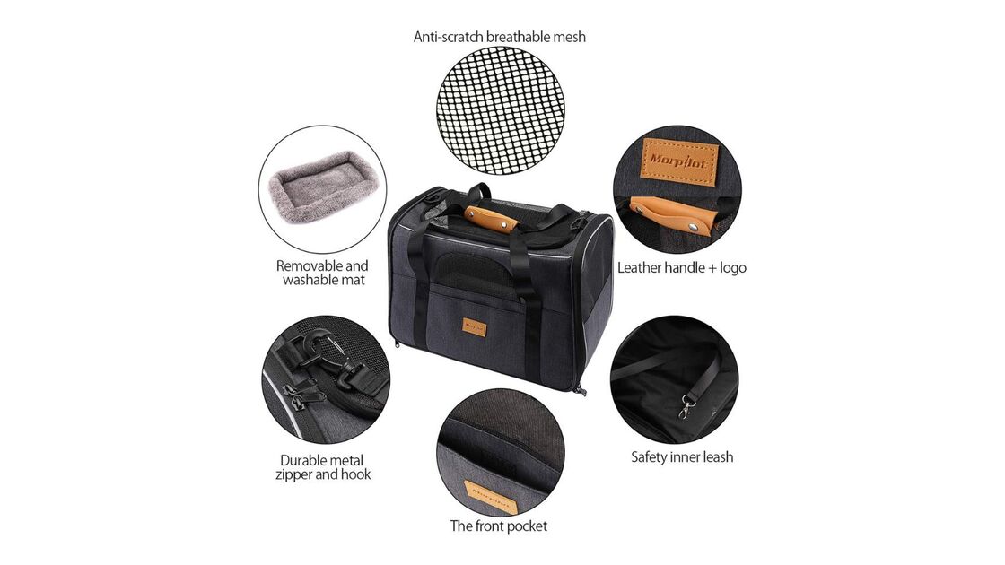 Transporte o seu animal de estimação com conforto e segurança