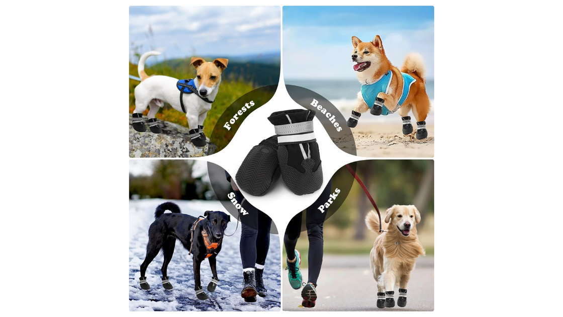Botas protegem patas de cães em diferentes ambientes, como florestas, praias, neve e parques