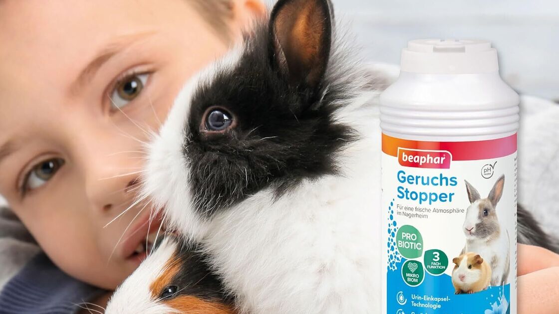 Solução Beaphar para odor de roedores proporciona atmosfera fresca