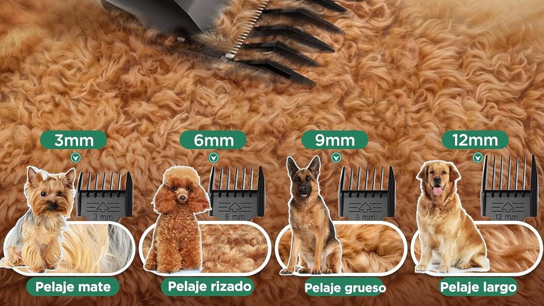 Quatro pentes para diferentes tipos de pelagem animal