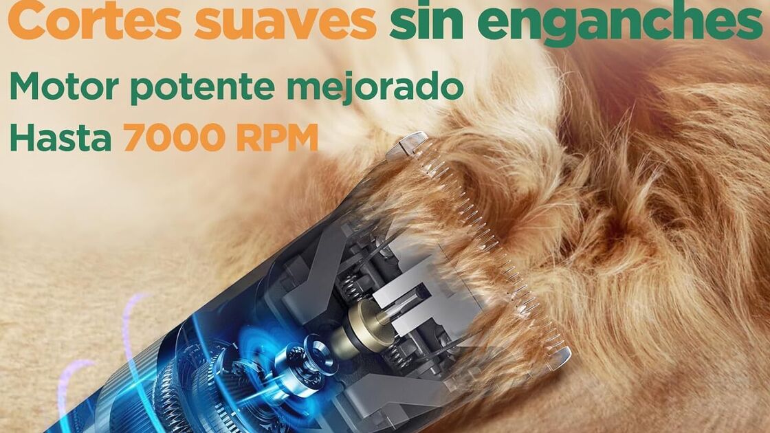 Máquina para cortes suaves até 7000 RPM, ideal para animais.
