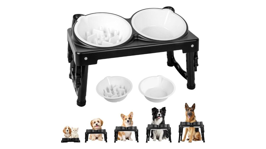 Cães e gatos comem em comedouros elevados pretos e brancos
