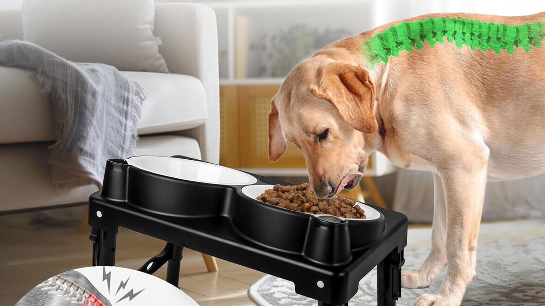 Alívio da pressão no pescoço do animal ao comer