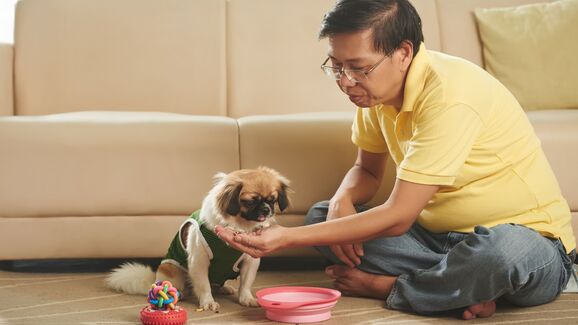 Herói de quatro patas! Cão evita que dono morra em incêndio em Hong Kong