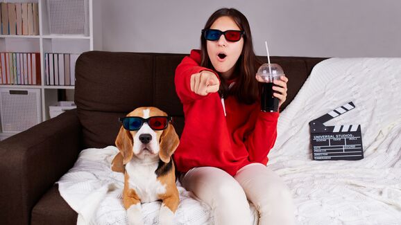 Pets no cinema? Sim, já e possível. Veja como tudo aconteceu