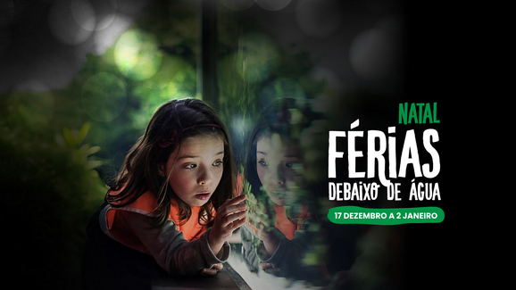 Férias de Natal com vista para o fundo do mar. O Oceanário de Lisboa volta a abrir portas aos mais novos