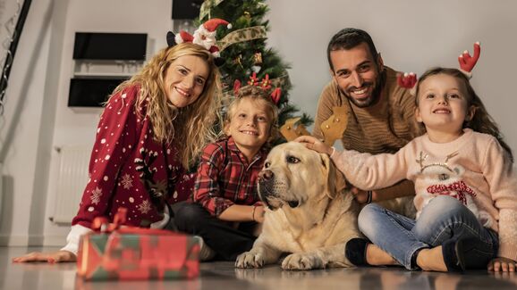 Visitas, barulho e casa cheia. Temos algumas dicas para ajudar a reduzir o stress dos animais durante esta época