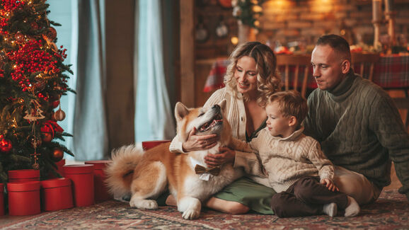 Família festeja o Natal com animal de estimação em casa
