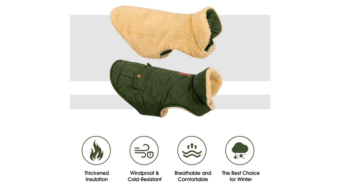 Casaco para cão, ideal para o inverno: proteção contra o frio e conforto