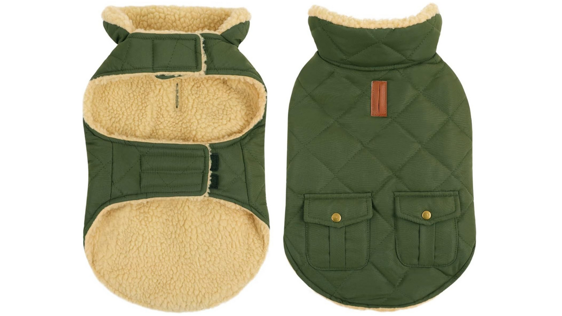 Casaco para cão, ideal para o manter quente e confortável
