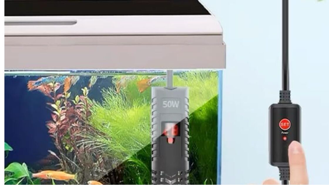 Aquecedor de aquário de 50W regula a temperatura para peixes saudáveis