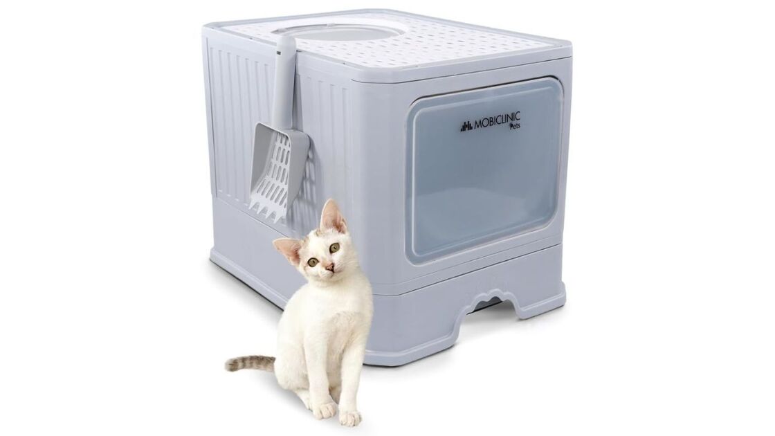 Gato branco posa ao lado de uma caixa de areia Mobiclinic Pets