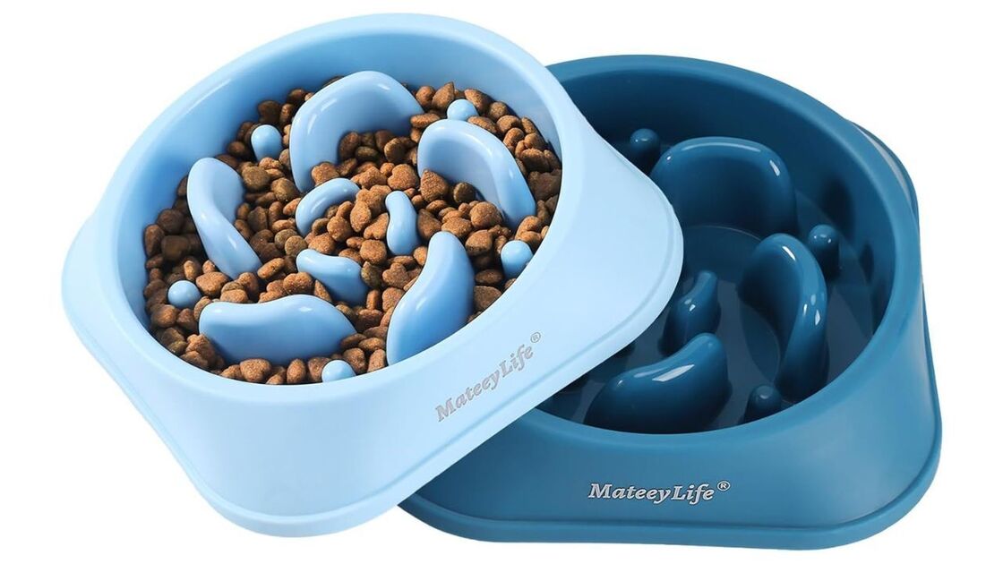 alimentador anti voracidade MateeyLife (1).jpg