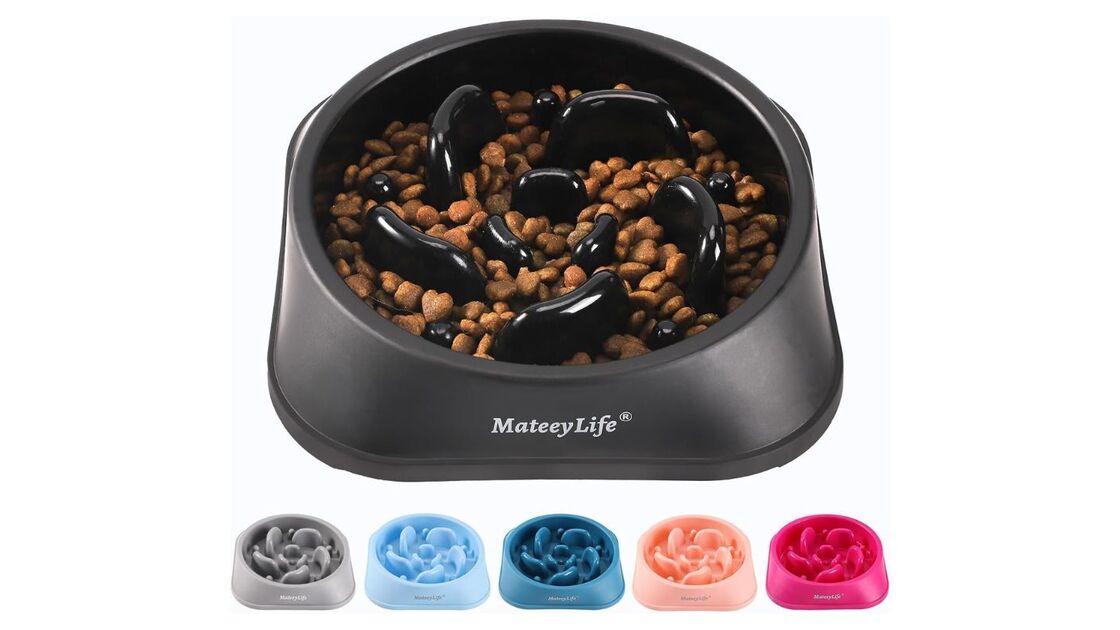 alimentador anti voracidade MateeyLife.jpg