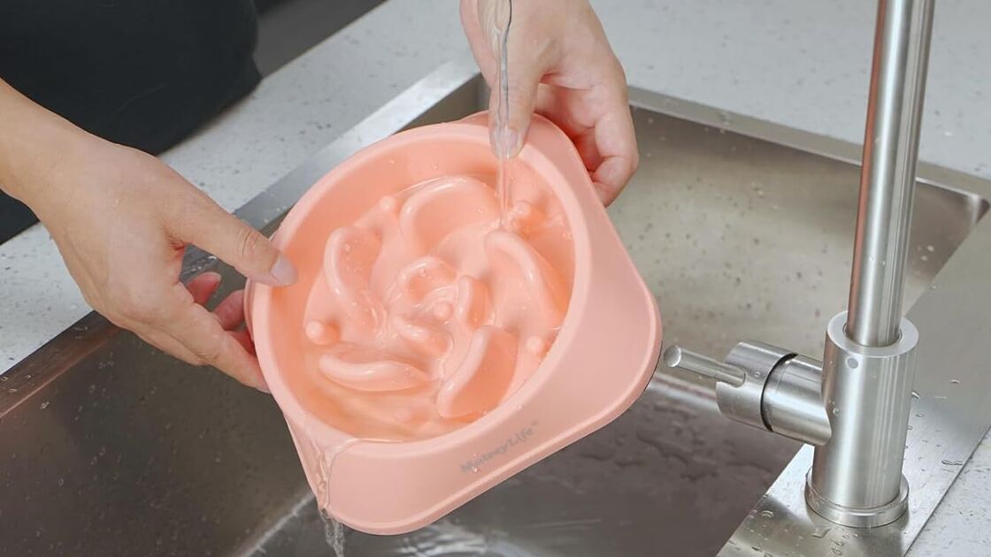 Tigela fácil de limpar, segura, ecológica, não tóxica e premium