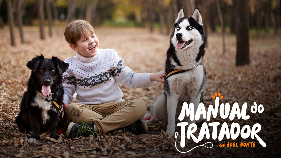 Como gerir cães e crianças na mesma casa? O treinador Joel Ponte tem algumas dicas para si