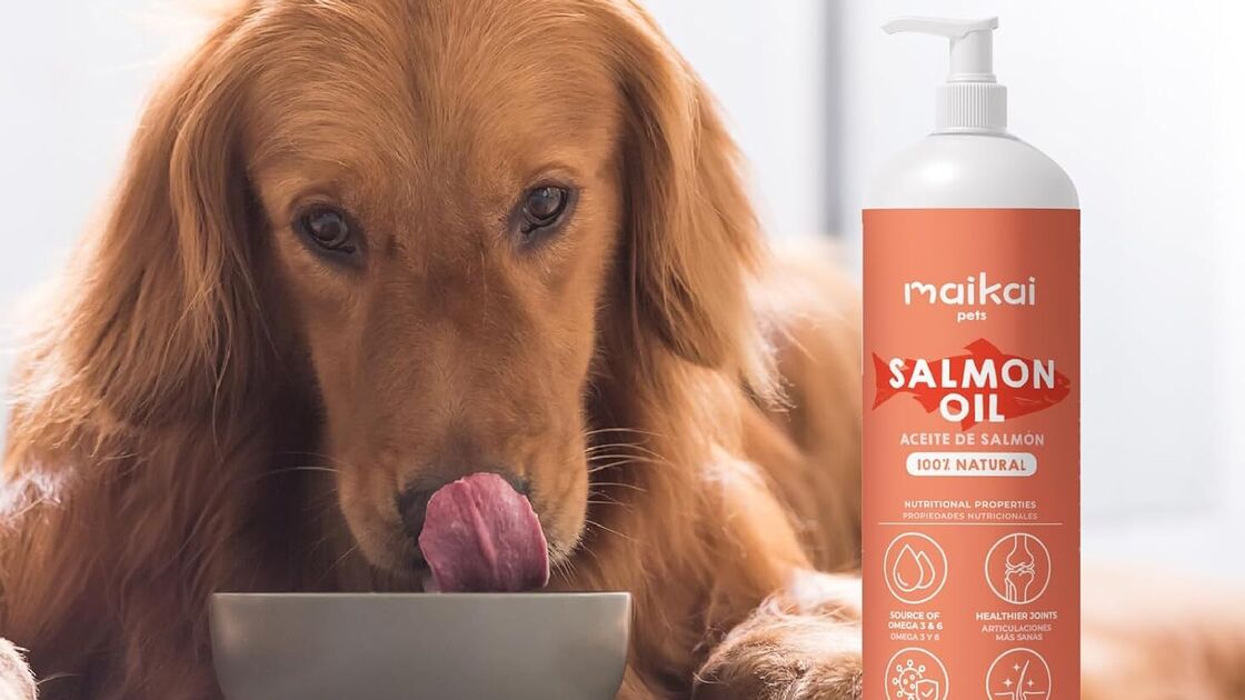 Óleo de salmão Maikai 100% natural para propriedades nutricionais de animais