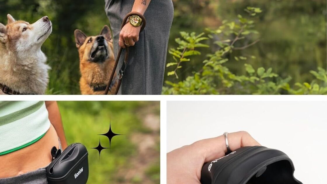 Alimentos seguros e fáceis de fixar para treinos com cães