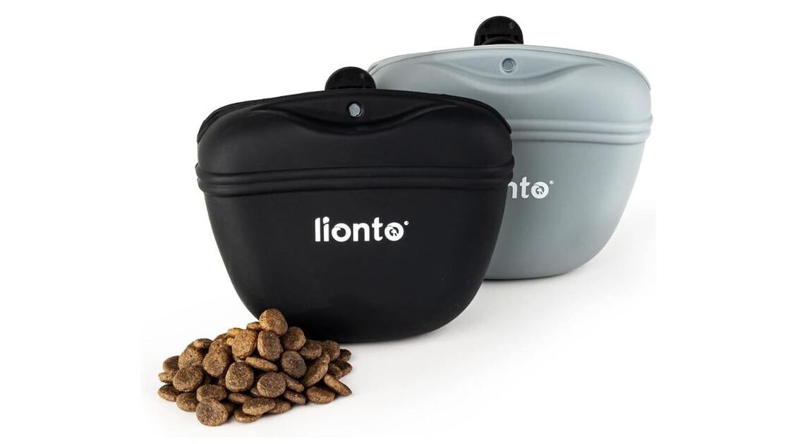 Petiscos frescos para treinar cães e ensinar truques com recompensas