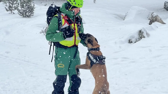 Herói de quatro patas! Conheça o Unkar, o cão da Guardia Civil que está a ajudar a localizar vítimas de avalanche em Espanha