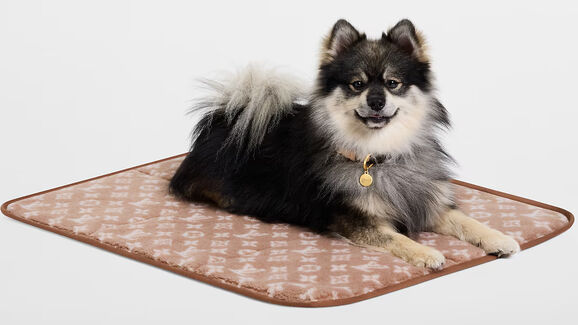 Louis Vuitton lança Dog Collection 2026 e reforça aposta na moda canina