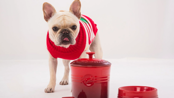Do fogão à taça do cão. Pet Collection é a aposta da Le Creuset para tutores apaixonados por design
