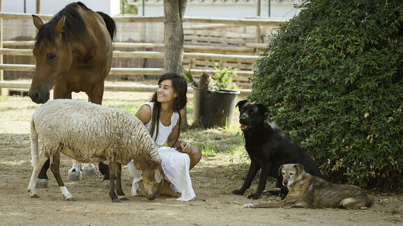 Pet Festival volta à FIL em fevereiro! Serão três dias de festa para famílias e animais de companhia
