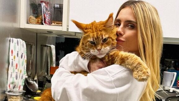 Quase do tamanho da dona! Gato gigante de Carolina Dieckmmann enlouquece os fãs