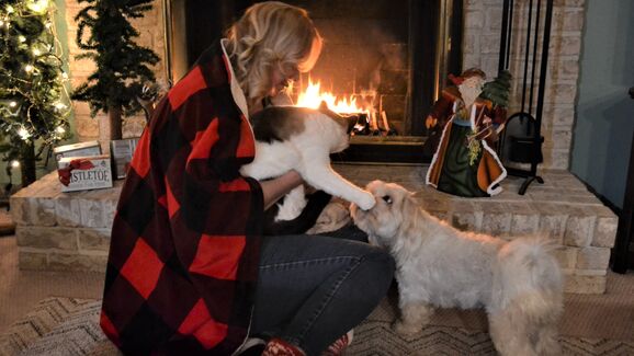 Mantas elétricas, lareiras e patudos. O que deve fazer para evitar sustos no inverno?