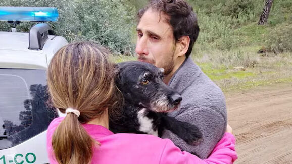 Final feliz em Adamuz: cão desaparecido após colisão de comboios é encontrado com vida