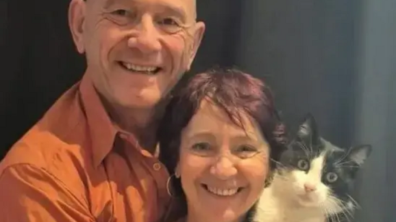 Uma história incrível! Conheça o Filou, o gato que andou 250 km para reencontrar os donos