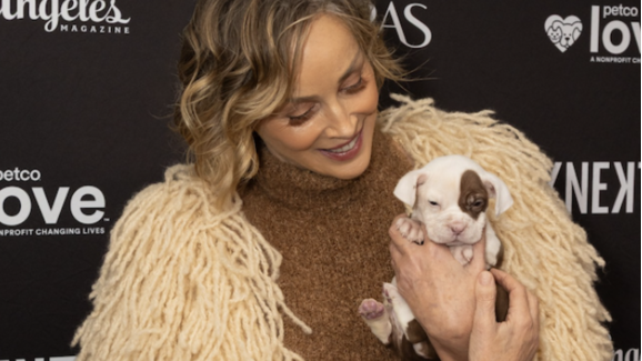 Sharon Stone foi a uma gala de prémios e voltou com um cão. Conheça a cadelinha Mo