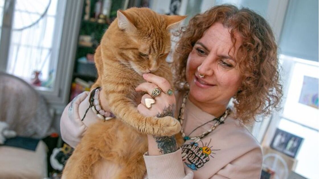 Na Alemanha há um gato na mira das autoridades por… miar demais