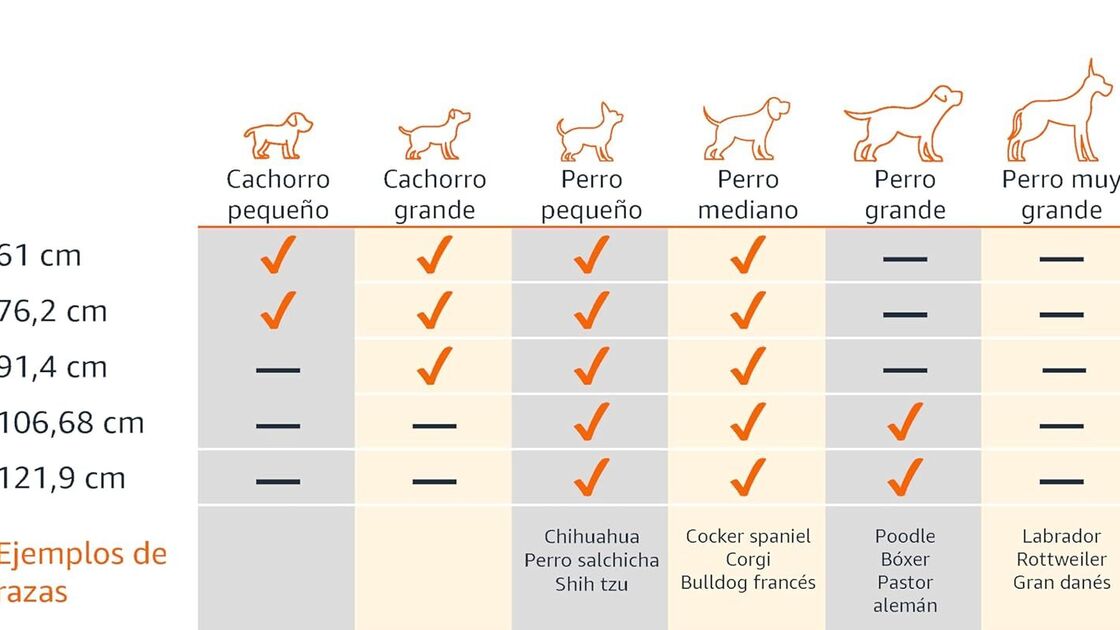 Tabela de tamanhos de jaulas para cães de várias raças e alturas