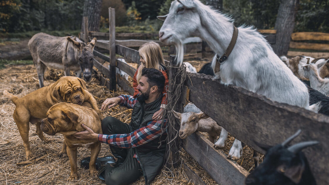 Quer ajudar os animais afetados pelas tempestades? Há algumas ações que podem fazer toda a diferença