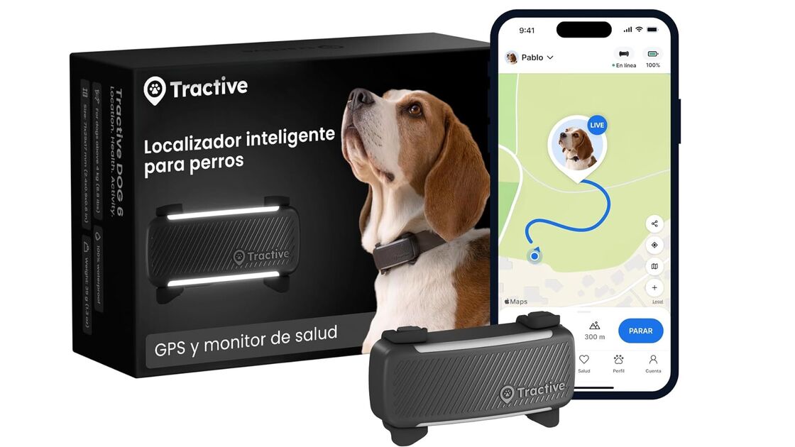 GPS Tractive Dog 6 ajuda a localizar o seu cão e monitorizar a saúde.
