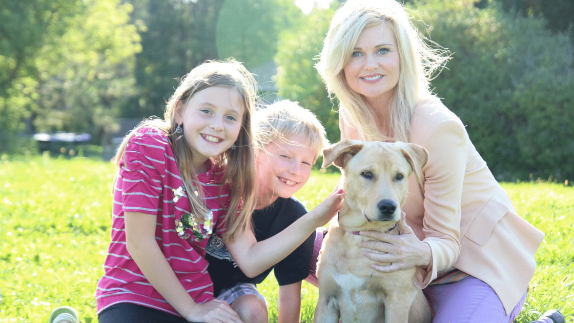 Amor à primeira patada? Este novo reality show quer ensinar a escolher o cão certo