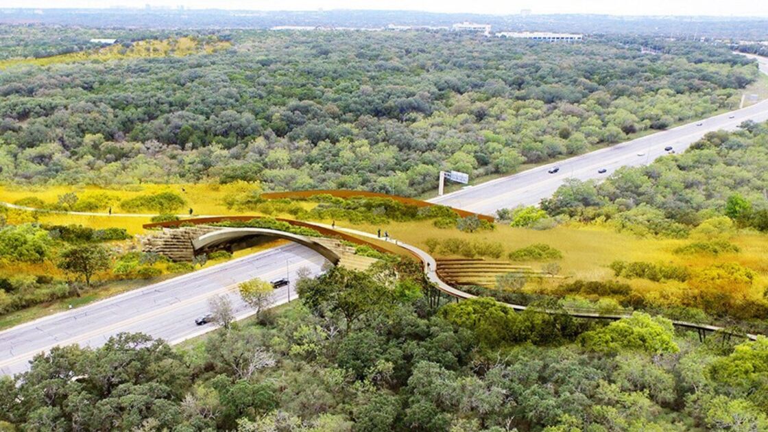 Uma autoestrada para animais? EUA vão ter a maior passagem ecológica do planeta