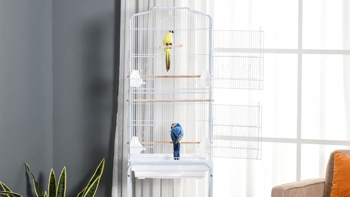 Dicas para escolher gaiola de aves: tamanho, acessibilidade, limpeza e mobilidade