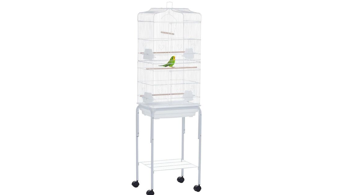 Dicas para escolher a gaiola certa para as suas aves: acessibilidade, limpeza e mobilidade contam