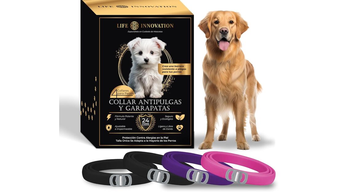 Proteção antipulgas e carraças para cães de todas as raças