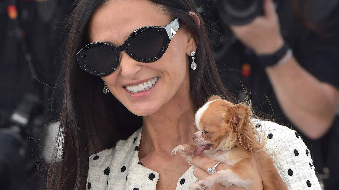 Na melhor companhia! Demi Moore assistiu ao desfile da Gucci com a sua fiel 'cãopanheira'