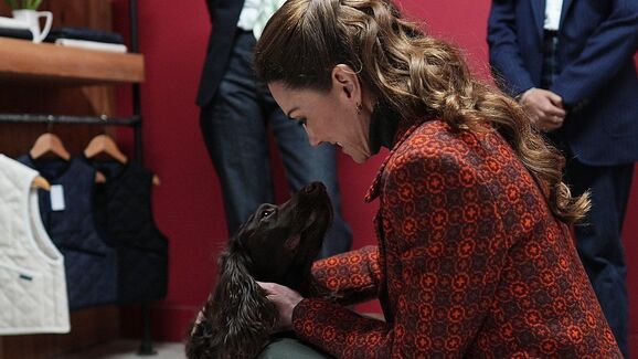 Kate Middleton encontra cão Barney no País de Gales e revela novo membro familiar